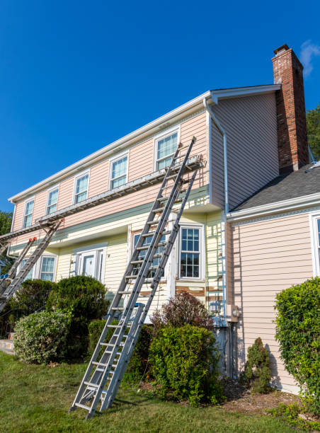 Best Historical Building Siding Restoration  in Buena, NJ