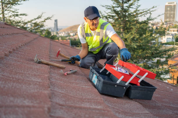 Best Stucco Siding  in Buena, NJ