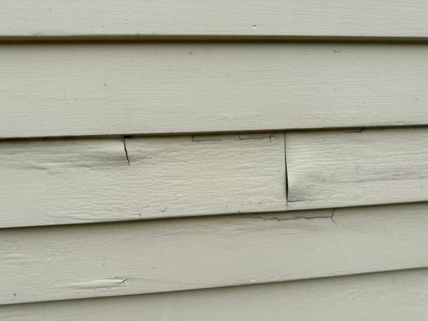 Best Wood Siding Installation  in Buena, NJ